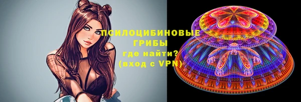 прущие крисы Алзамай