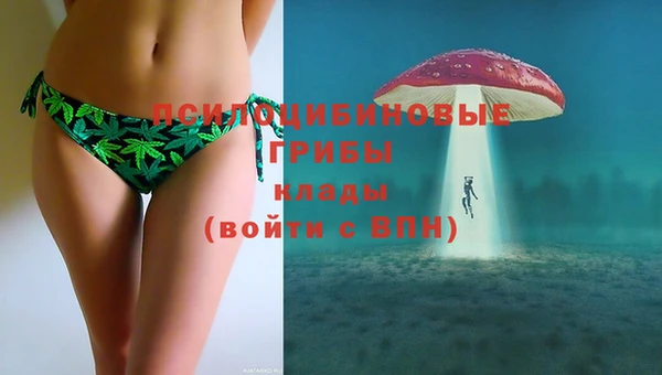 прущие крисы Алексеевка