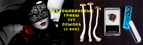 прущие крисы Алзамай